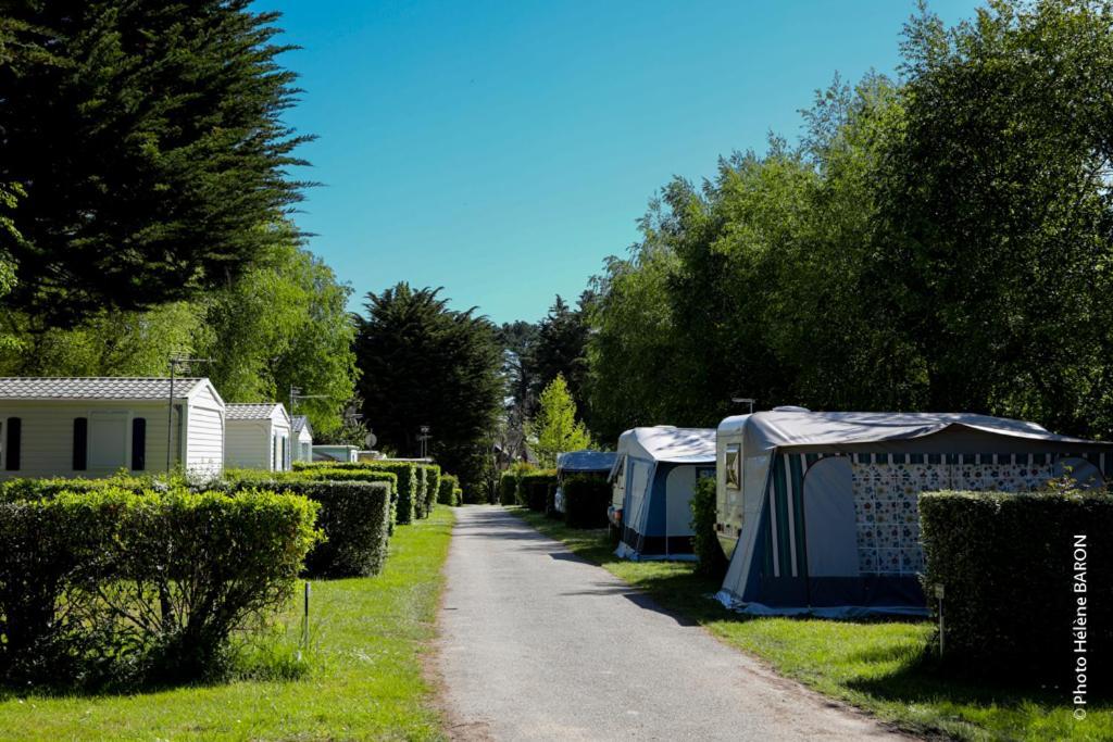 דמגאן Camping L'Oasis מראה חיצוני תמונה